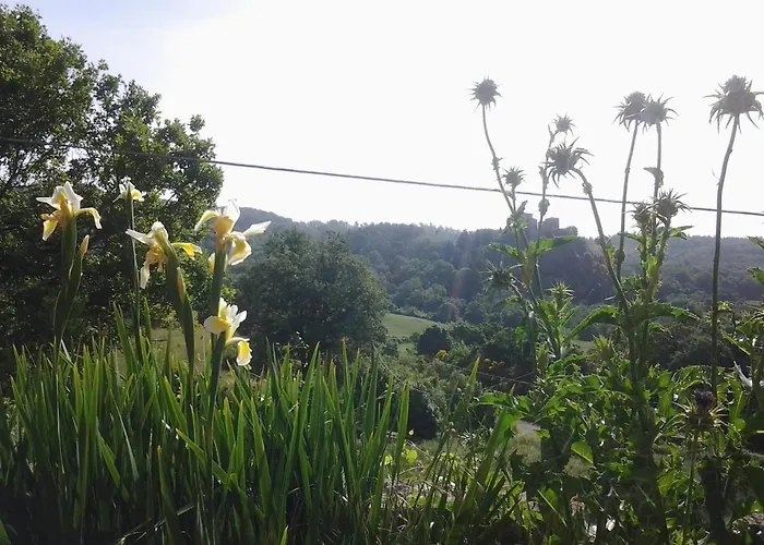 Vendégház Casa Bindi