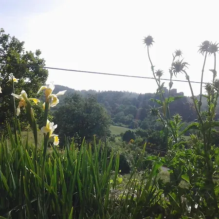 Affittacamere Casa Bindi