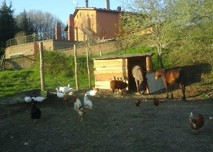 Casa Bindi Affittacamere Triana