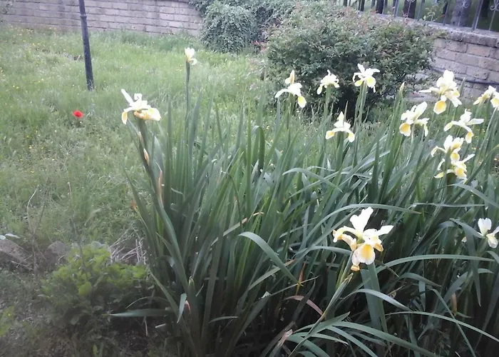 Casa Bindi Affittacamere