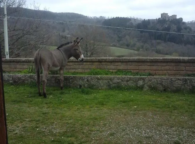 Casa Bindi Affittacamere *